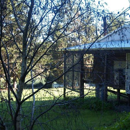 Hawke Brook Chalets Pemberton Esterno foto