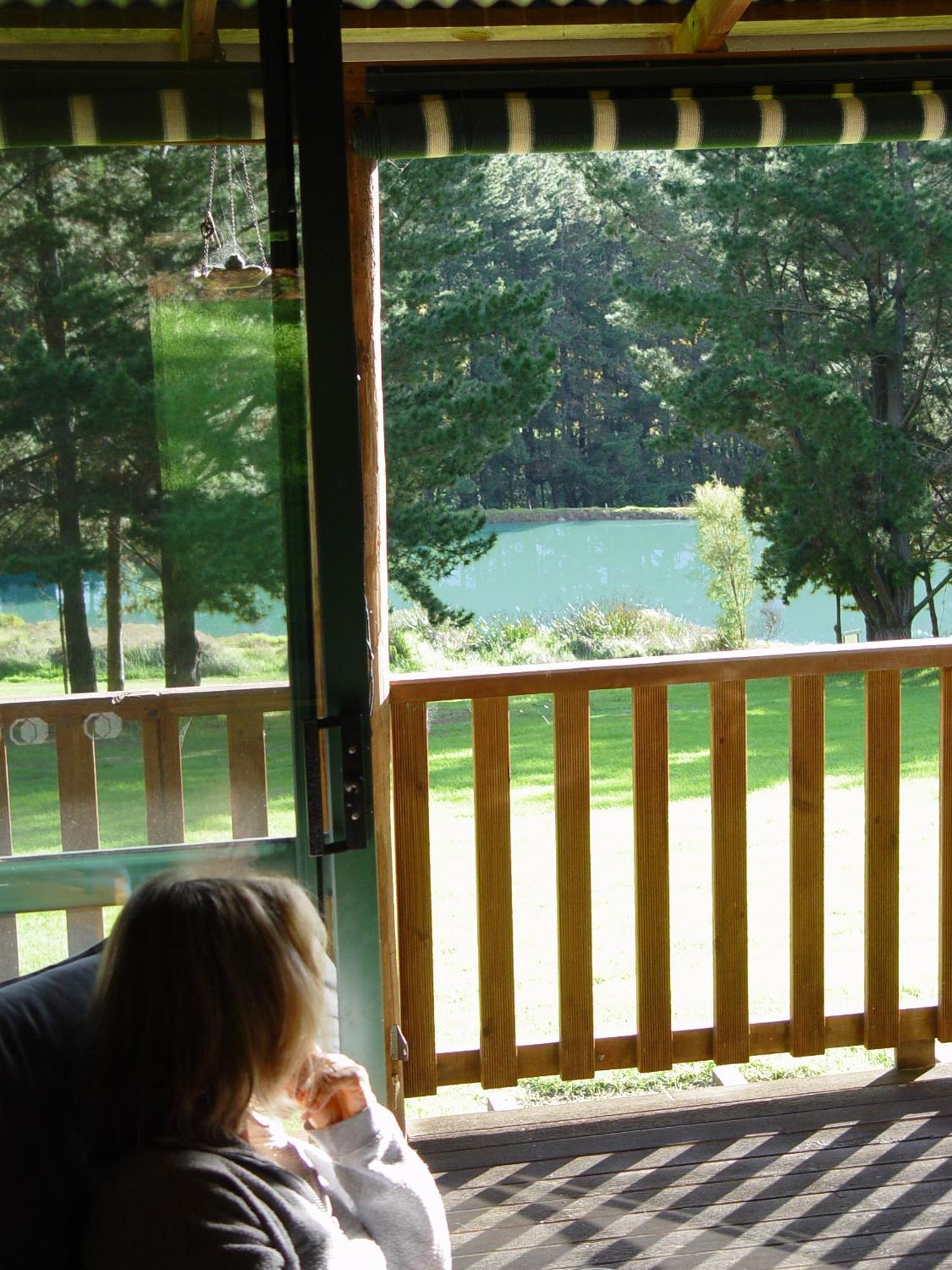 Hawke Brook Chalets Pemberton Esterno foto