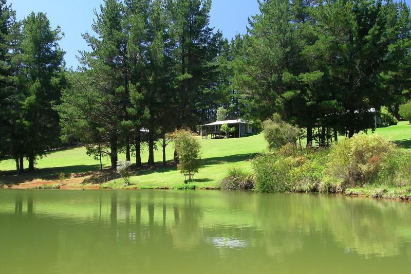 Hawke Brook Chalets Pemberton Esterno foto